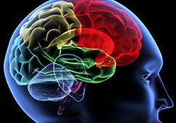 توسعه‌ هوش مصنوعی و درمان بیماری‌های مغزی غیر قابل علاج