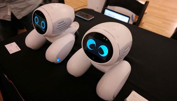 «دومگی» یک حیوان خانگی رباتیک مجهز به هوش مصنوعی است که چهره شما را تشخیص می‌دهد