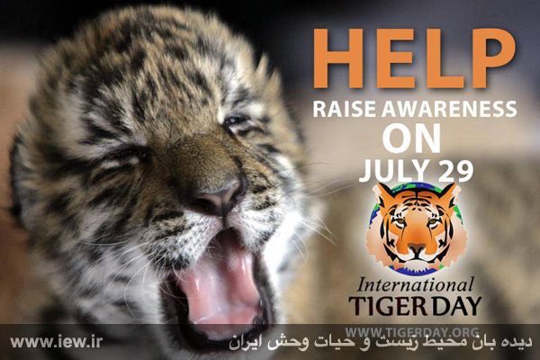 به مناسبت ٢٩جولاى روز جهانی ببر (International tiger day ۲۰۱۶)