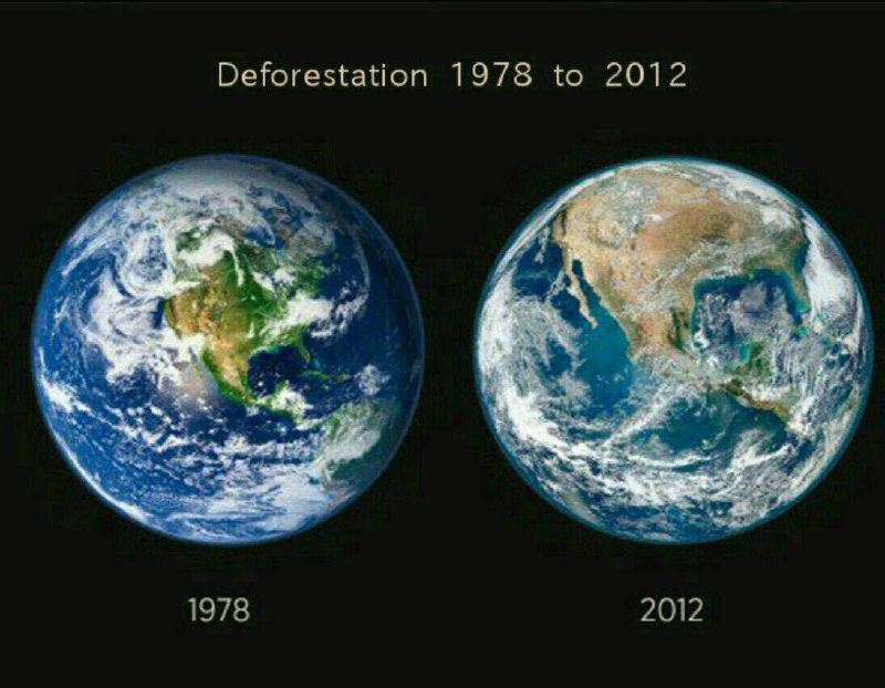 این تصویر یک سیاره ‌ی دیگر در کنار زمین نیست؛ ۲ تصویر از زمین در طی ۳۴ سال است