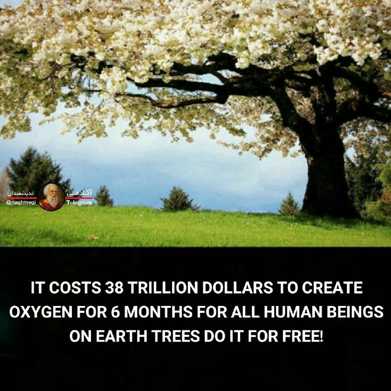 ۳۸ تریلیون دلار هزینه لازم است تا بتوان به انسانهای روی کره زمین فقط به مدت ۶ ماه اکسیژن رسانی کرد!