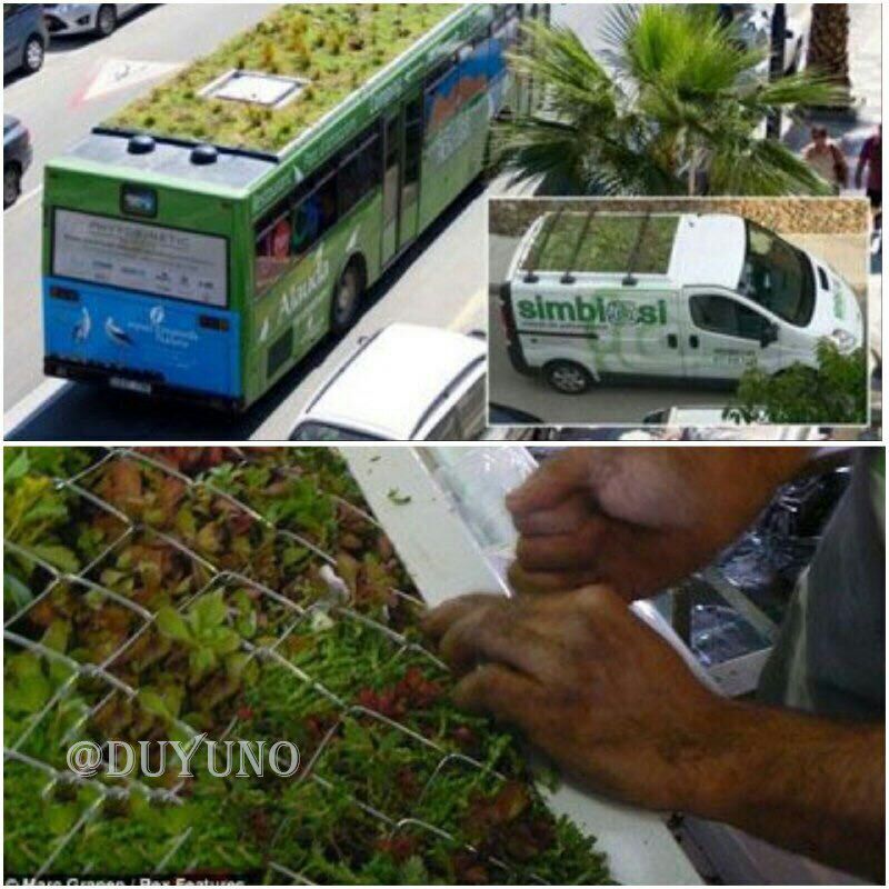 اقدامی جالب در اسپانیا، باغچه ایی روی سقف اتوبوس‌ها