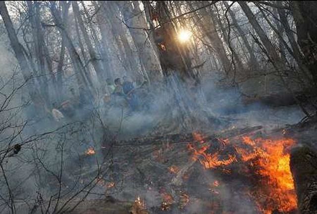 نوروز امسال ۱۰۰ هکتار از جنگلهای مازندران در آتش سوخت