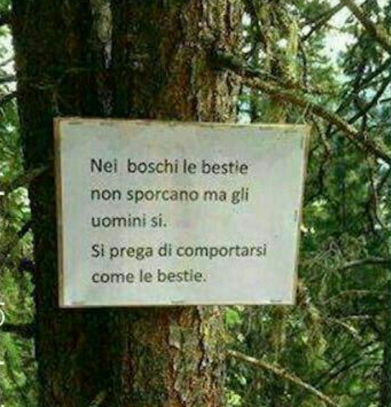 در جنگل‌های ایتالیا تابلوهایی با این مضمون نصب کرده‌اند:.. پس خواهشمندیم مثل حیوانات رفتار کنید!