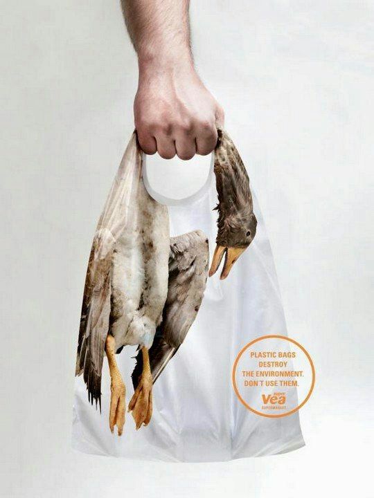 تبلیغ فرهنگی جالب یک فروشگاه زنجیره‌ای در آرژانتین کیسه‌های پلاستیکی باعث مرگ جانوران و نابودی محیط زیست می‌شوند، از آنها استفاده 