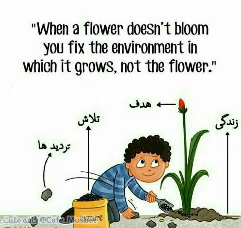 🎯وقتی گلی شکوفه نمی‌دهد،. گل را عوض نمی‌کنند،. بلکه شرایط رشدش را فراهم می‌سازند …اگر موفق نشدی