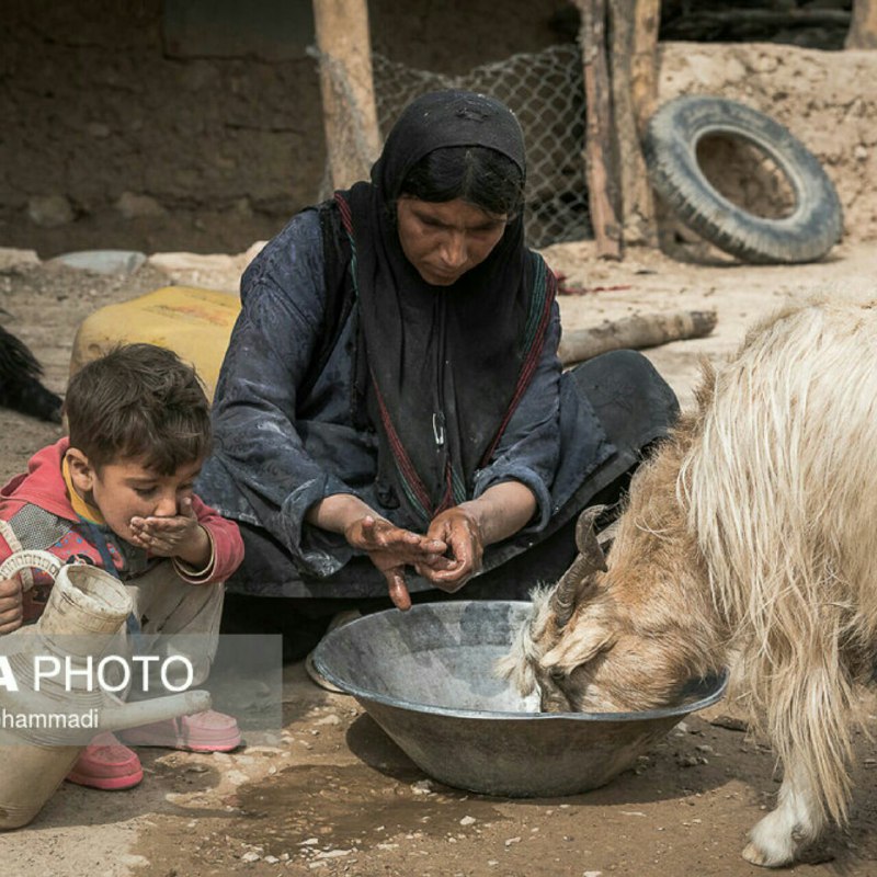 تصویری از یک خانواده در روستای پز از توابع شهرستان الیگودرز در استان لرستان که به خاطر کمبود شدید آب، ظرف آب خود را به بزشان شریک 
