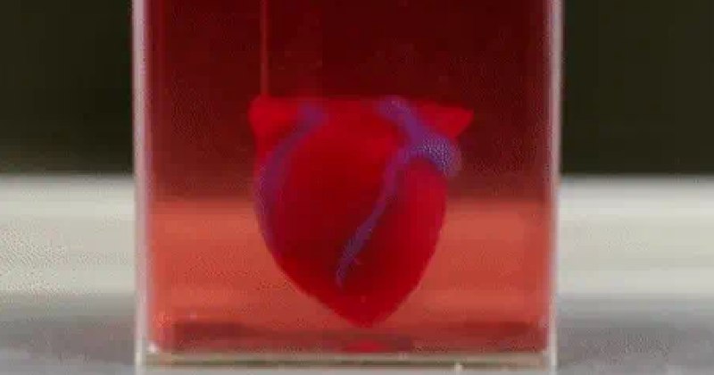 ساخت 'اولین قلب' با چاپگر سه‌بعدی و رگ و پی انسانی