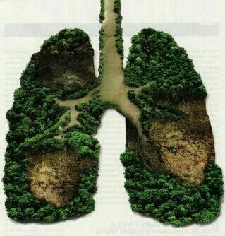 لازمه‌ی زندگی سالم،. محیط زیست سالم است. 👌🏽