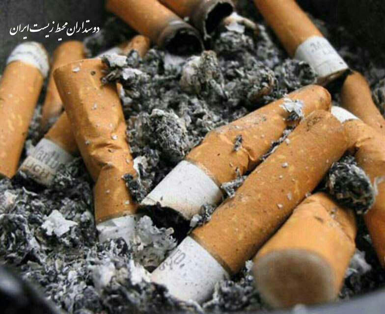 🚬 ته سیگار رتبه یک پس مانده درجهان را دارد، سالانه ۴٫۵ تریلیون عدد ته سیگار روی زمین انداخته میشود که هرکدام به مدت ۵ تا ۴۰۰ سال ب