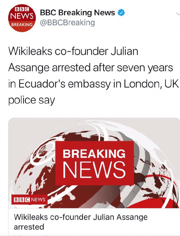 ✅جولیان آسانژ، بنیانگذار سایت افشاگر ویکی‌لیکس در سفارت اکوادور در انگلیس دستگیر شد …✔️کانال بازارسرمایه 🔜