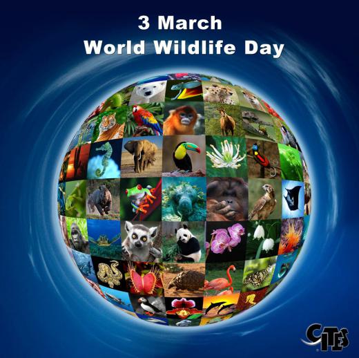 پوستر روز جهانی حیات وحش در سال ۲۰۱۵