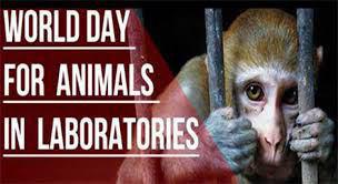 روز ۲۴ آوریل روز جهانی حیوانات آزمایشگاهی است