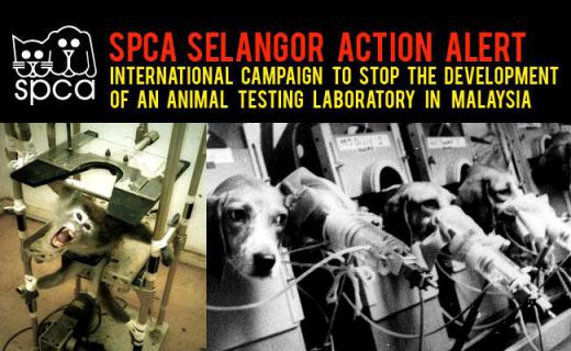 پوستر انجمن مبارزه با آزمایش روی حیوانات در کشور مالزی. ساحت زیست