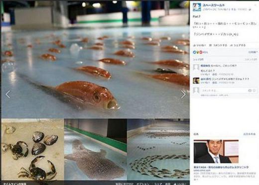 مسئولان یک پارک تفریحی در ژاپن در پی اعتراض مردم مجبور شدند پیست اسکیتی را که برای تزئین آن از ماهی‌های منجمد استفاده کرده بودند، 