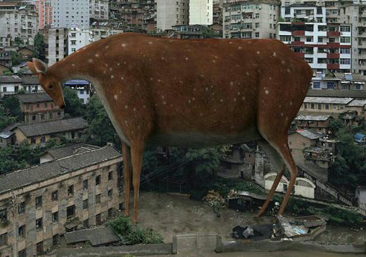 پروژه (Animal Regulation) اثر هنرمند چینی که به تعارض میان زیستگاه حیوانات و شهرسازی انسان‌ها اشاره دارد …