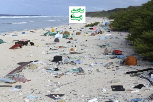در جزیره دورافتاده هندرسون ۳۸ میلیون قطعه پلاستیکی از تمام اقلام متصور مصرفی بشر وجود دارد