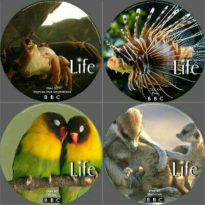 مستند «زندگی» (Life) در ده قسمت پنهان و آشکار جهان حیوانات، گیاهان، حشرات و ماهیان را با بهترین کیفیت به تصویر می‌کشد گویی شما در 
