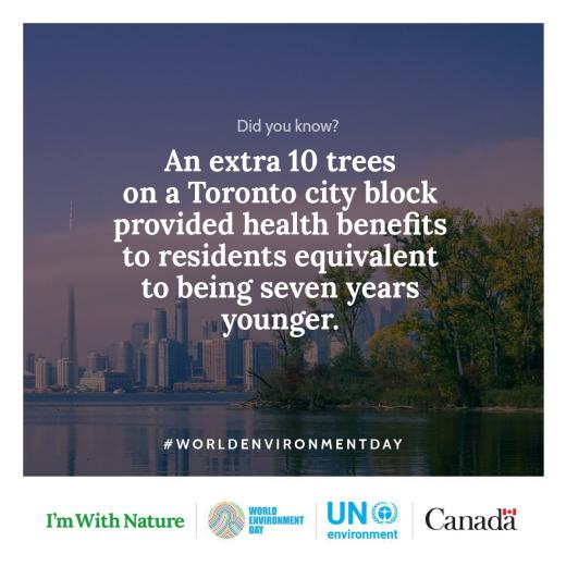 دفتر محیط زیست سازمان ملل متحد: آیا می‌دانید که ده درخت بیشتر در هر بلوک ساختمانی شهری مثل تورنتو برای سلامت ساکنان آن سودی معادل 