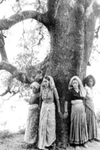جنبش چیپکو: حفاظت زنان از درختان دربرابر چوب برها
