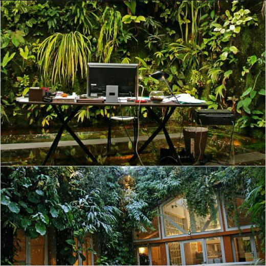منزل و محل کار «پاتریک بلان» طراح گیاه‌شناس باغ عمودی «کایسا فروم» مادرید و بسیاری دیوارهای سبز در جهان
