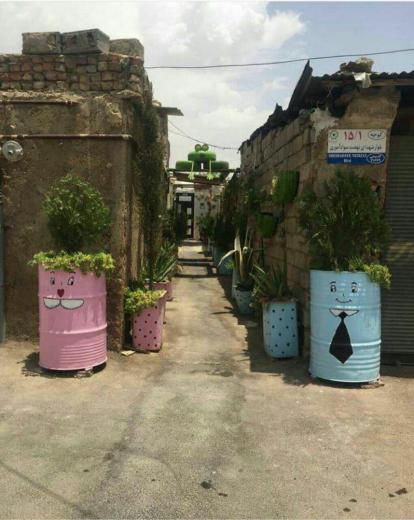 خلاقیت یک شهروند شیرازی در یک محله محروم جهت ایجاد فضای سبز!