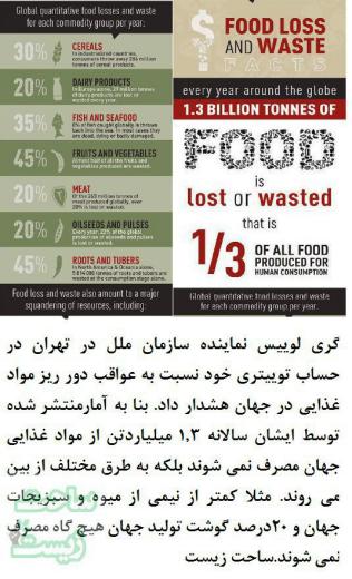هشدارگری لوئیس نماینده سازمان ملل در تهران نسبت به دورریز مواد غذایی در جهان/ نصف میوه و سبزیجات و ۲۰ درصد گوشت تولیدی در دنیا هیچ