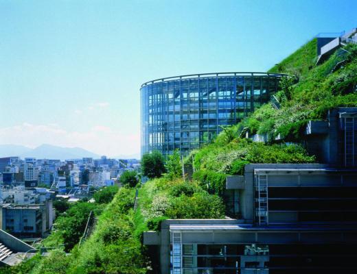 معماری سبز در شهرفوکوکاسیتی ژاپن