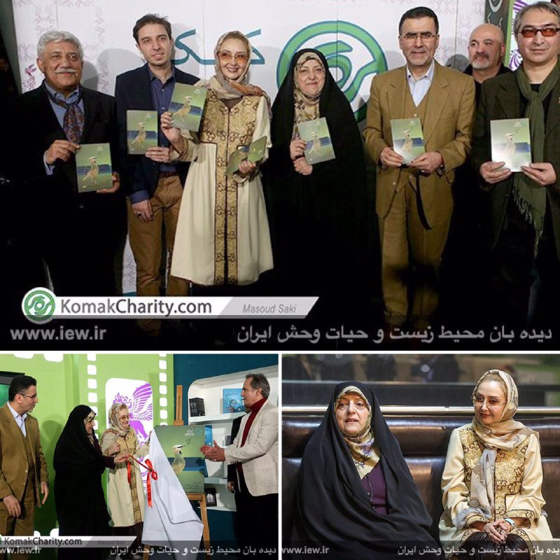 از پوستر «زاغ بور» پرنده ملی ایران در سى و چهارمین جشنواره فیلم فجر رونمایی شد …دیده بان محیط زیست و حیات وحش ایران
