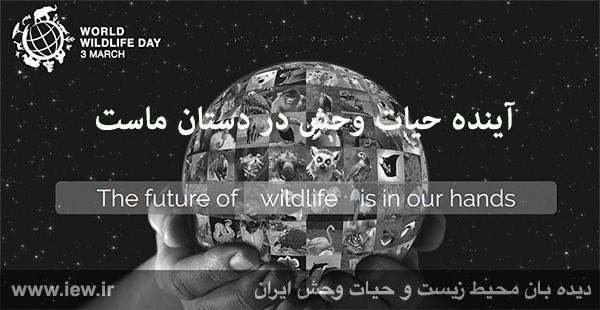 روز جهانى حیات وحش گرامى باد.. www. iew
