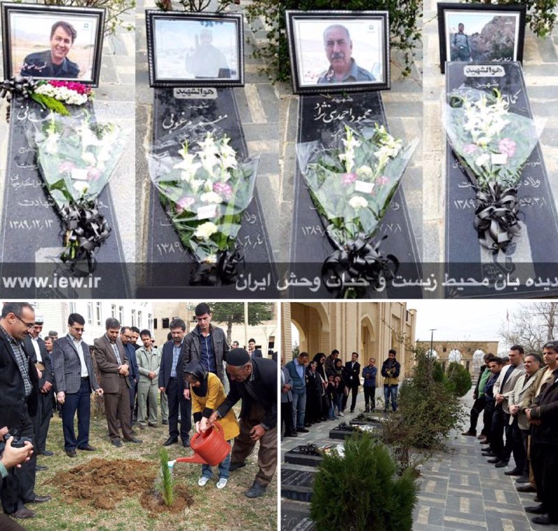 پنج نهال به یاد پنج شهید گرانقدر محیط زیست کردستان کاشته شد …پایگاه خبری. www
