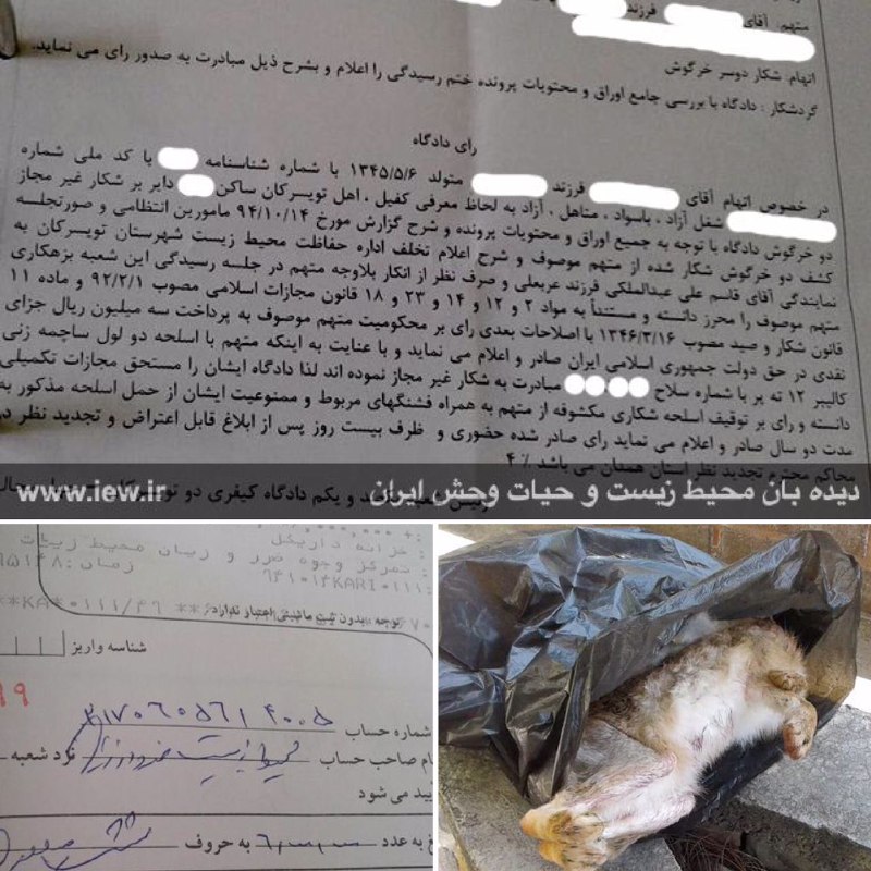 عامل شکار غیرمجاز ٢خرگوش وحشی در تویسرکان به جزای نقدی، توقیف اسلحه و ٢سال محرومیت از حمل سلاح شکارى محکوم شد