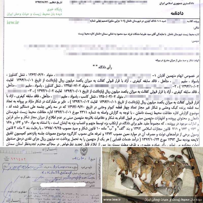 عاملین شکار سه کبک مازاد بر پروانه و شکار غیرمجاز ٤ کبوتر وحشی به پرداخت سى میلیون ریال جزای نقدی محکوم شدند