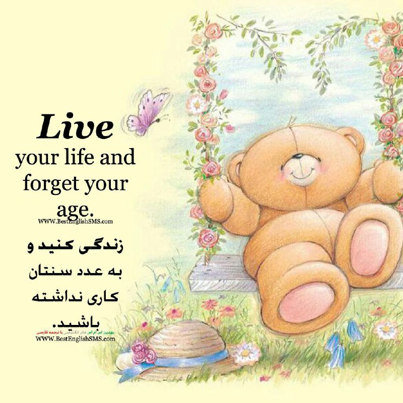 زندگی کنید و به عدد سنتان کاری نداشته باشید …بهترین اس ام اس‌های انگلیسی با ترجمه 😍 👇