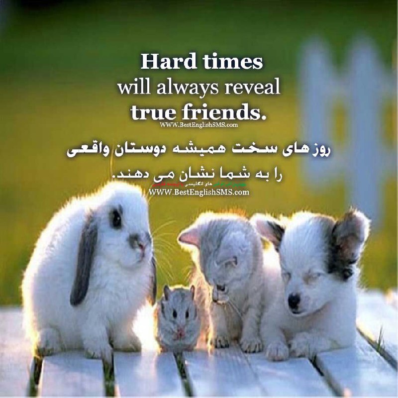 بهترین اس ام اس‌های انگلیسی با ترجمه 👇. برای عضویت در کانال روی لینک 👇👇کلیک کنید🌸🌺🌼
