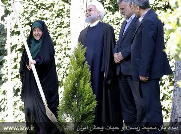 رییس جمهور پس از کاشت نهال: جنگل‌ها، تالاب‌ها، رودها و دریاچه‌ها حق حیات به گردن ما دارند …دیده بان محیط زیست و حیات وحش ایران