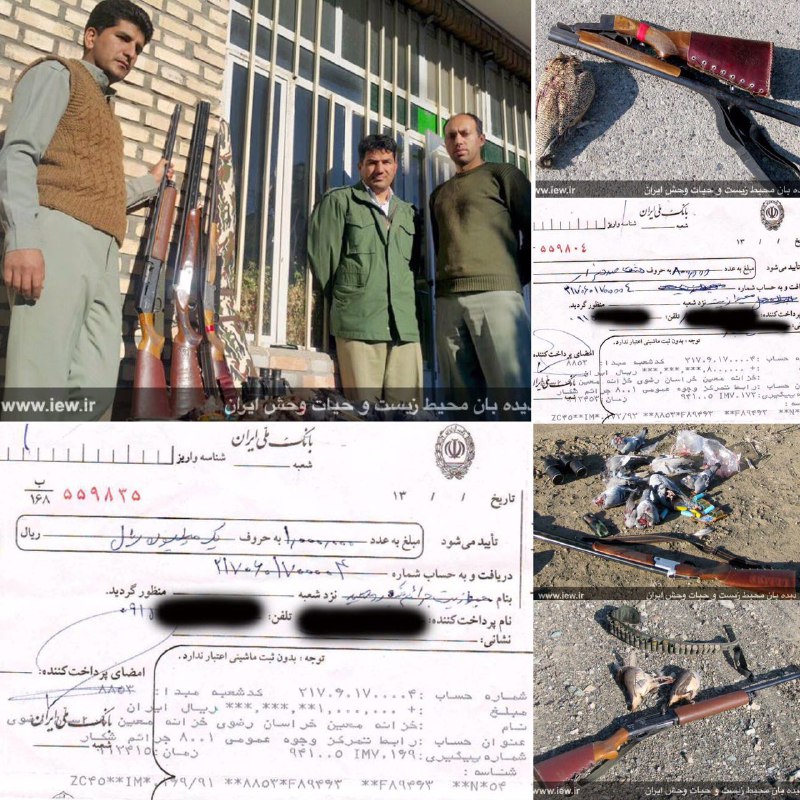 ٣ شکارچی بهمراه لاشه ۲ کبک، یک باقرقره و ۸ کبوتر وحشى در جغتای دستگیر و پس از واریز جریمه به دادگاه معرفى شدند