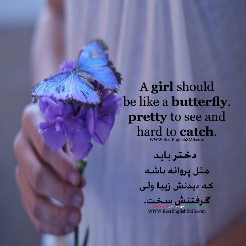 A girl should be like a butterfly. pretty to see and hard to catch