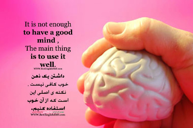 داشتن یک ذهن خوب کافی نیست، نکته‌ی اصلی این است که از آن خوب استفاده کنیم