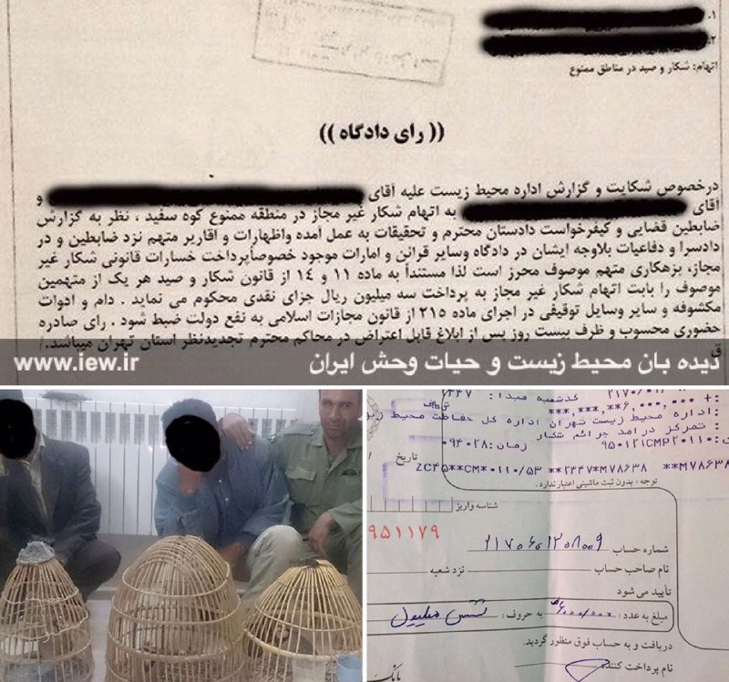 متخلفین زنده گیرى کبک در دماوند علاوه بر پرداخت ضرر و زیان محیط زیست، در دادگاه نیز به جزاى نقدى محکوم شدند