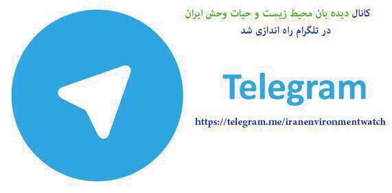 به کانال دیده بان محیط زیست بپیوندید.. آخرین اخبار واطلاعات محیط زیست و حیات وحش کشور