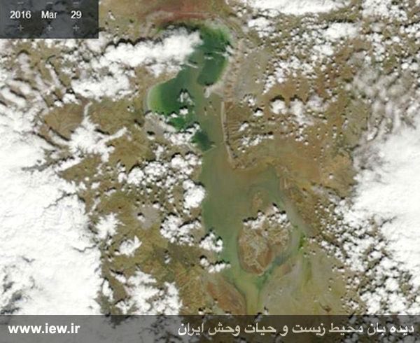 جدیدترین تصویر ماهواره ناسا از دریاچه ارومیه پس از افزایش ٦٨ سانتى مترى تراز سطح آب.. www