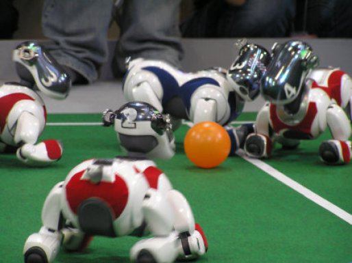 ۲۰ تیم دانشجویی در مسابقات رباتیک جشنواره «آرنا» به رقابت پرداختند