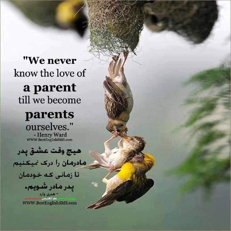 «We never know the love of a parent till we become parents ourselves.».. - Henry Ward