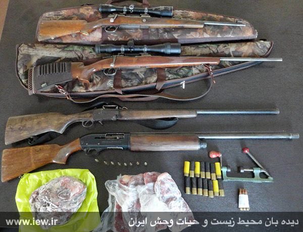 عاملین شکار یک مرال و یک شوکا در مناطق جنگلی نوشهر بهمراه پنج قبضه اسلحه شکارى دستگیر شدند …دیده بان محیط زیست و حیات وحش ایران