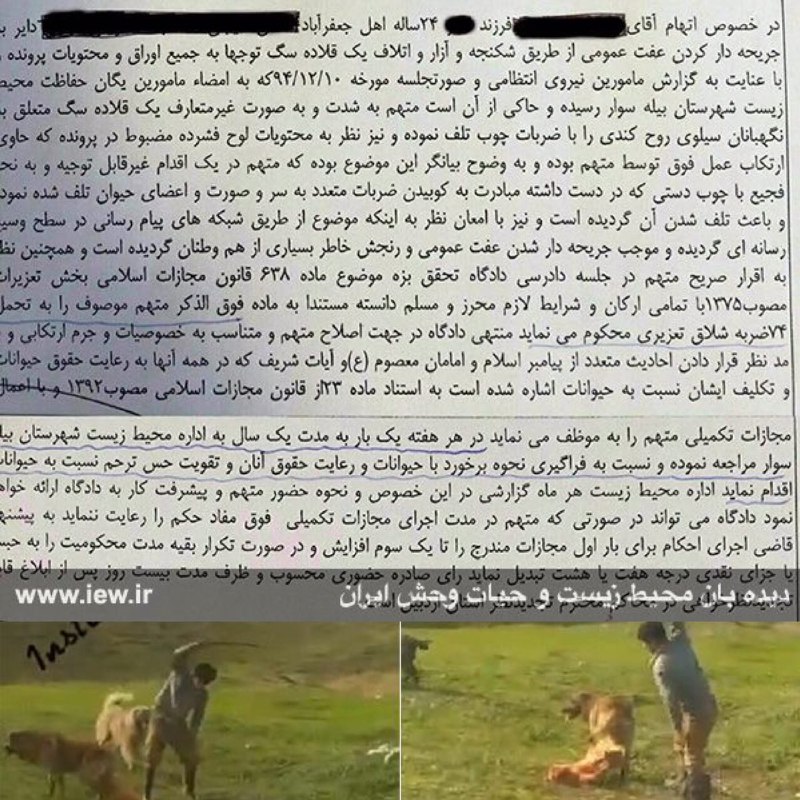 عامل سگ کشى وحشیانه در اردبیل به ٧٤ ضربه شلاق و یک سال فراگیرى مبانى حقوق حیوانات محکوم شد.. www