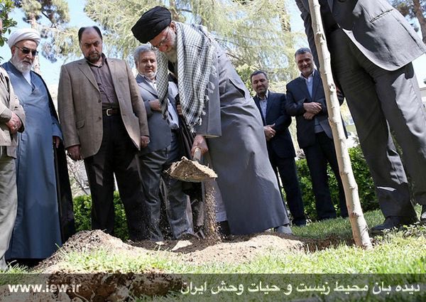 رهبر انقلاب پس از کاشت نهال: تهاجم به جنگلها خلاف مصلحت است. مسئولان در حفظ جنگلها کوشا باشند