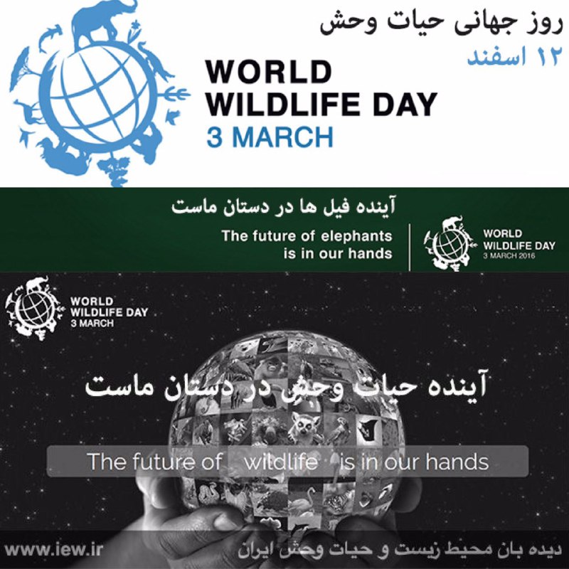 گزارش مربوط به روز جهانى حیات وحش در دیده بان محیط زیست (لینک زیر):.. www. iew