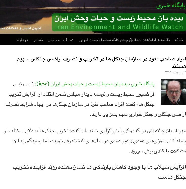 نایب رییس فراکسیون محیط زیست مجلس: افراد صاحب نفوذ در سازمان جنگل‌ها در تخریب و تصرف اراضی جنگلی سهیم هستند
