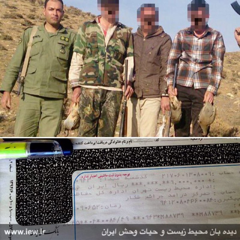 عاملین شکار ۳ کبک و یک خرگوش در دماوند پس از واریز ٩ میلیون ریال جریمه به دادگاه معرفی شدند.. www
